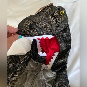 Dinosaurs Costume